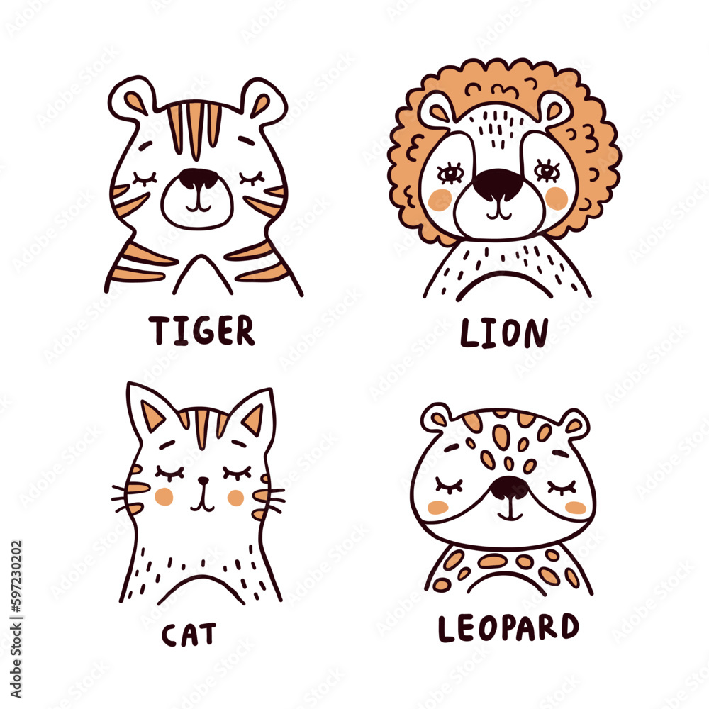 Tiger, lion, cat and leopard vector illustrations set