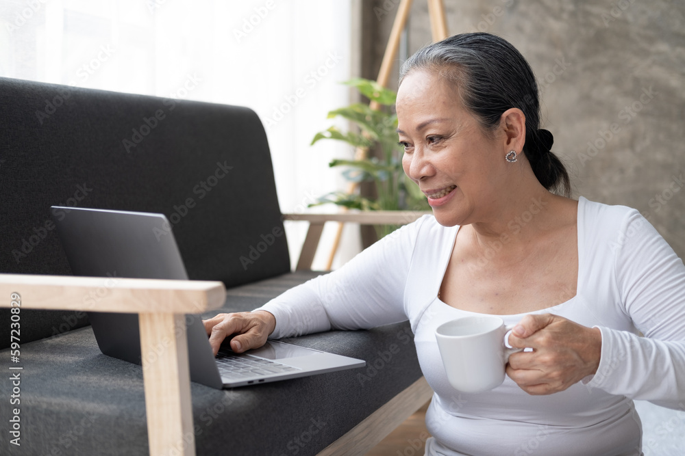Beautiful middle aged woman using laptop computer on the sofa and holding a coffee cup. Beautiful middle aged woman using laptop computer on the sofa and holding a coffee cup.