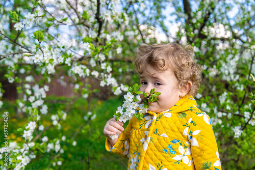 A child in the garden sniffs a blossoming spring tree. Selective focus.