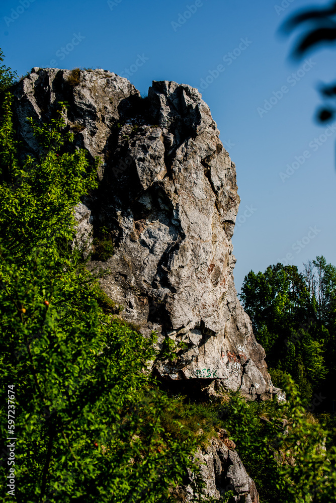 Skały w rezerwacie Kadzielnia w Kilcach Skały w rezerwacie Kadzielnia w Kilcach