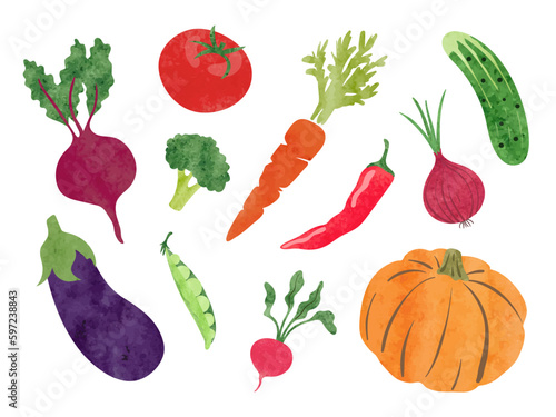 Set of watercolor vegetable...