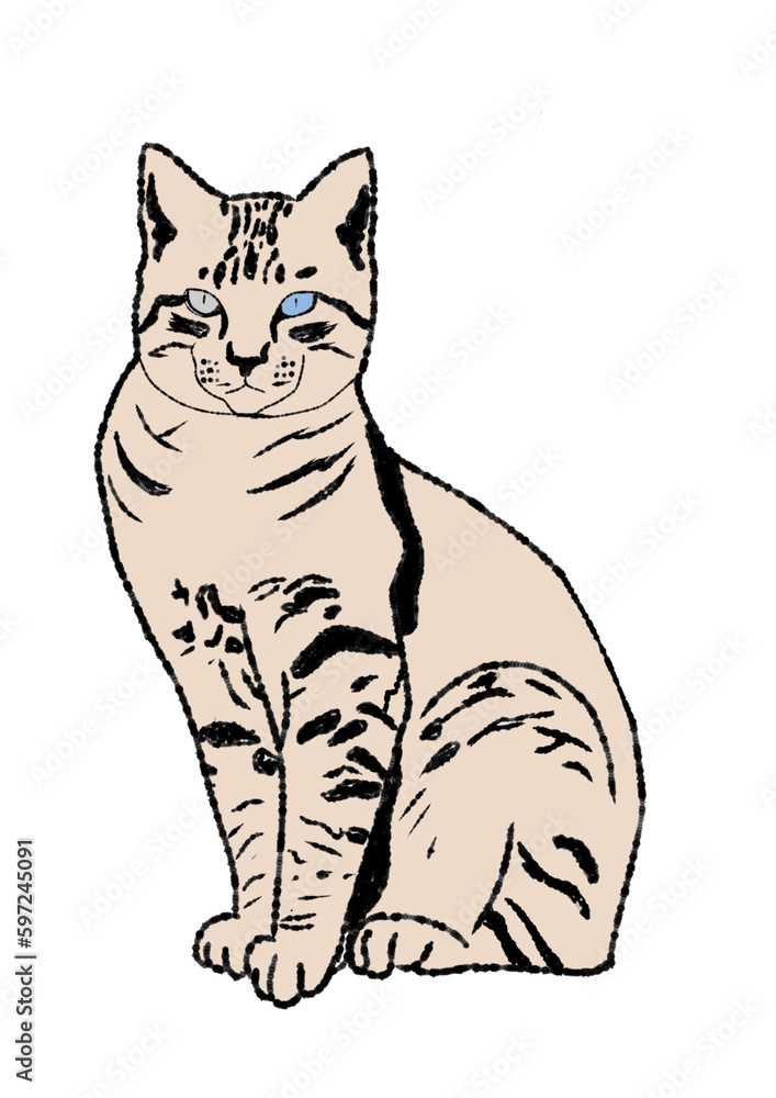 Fototapeta premium Cat drawing 