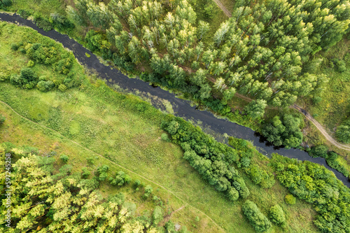aerial view of the forest landscape, coniferous trees and deciduous