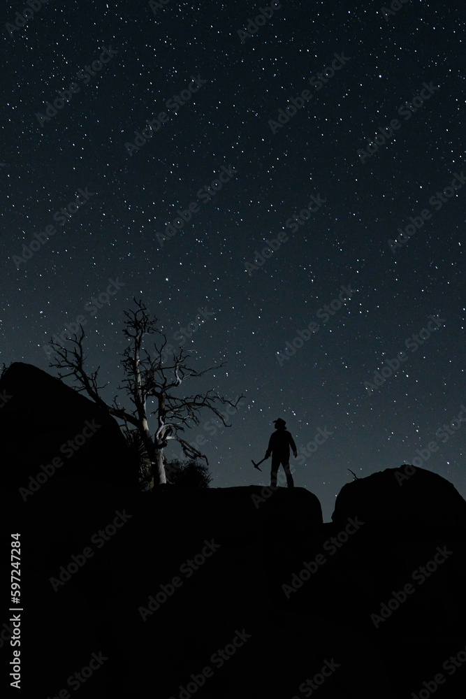 Night Sky Image of a Gold Miner With a Tree