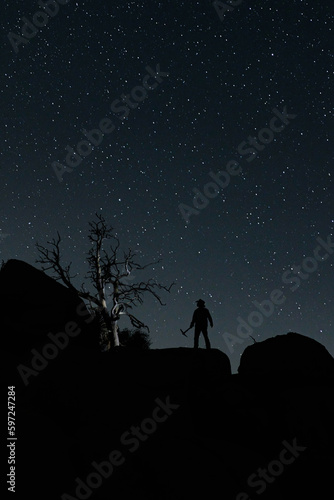 Night Sky Image of a Gold Miner With a Tree