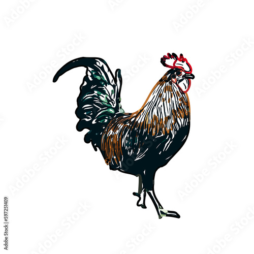 Fényképezés Color sketch of a rooster with transparent background