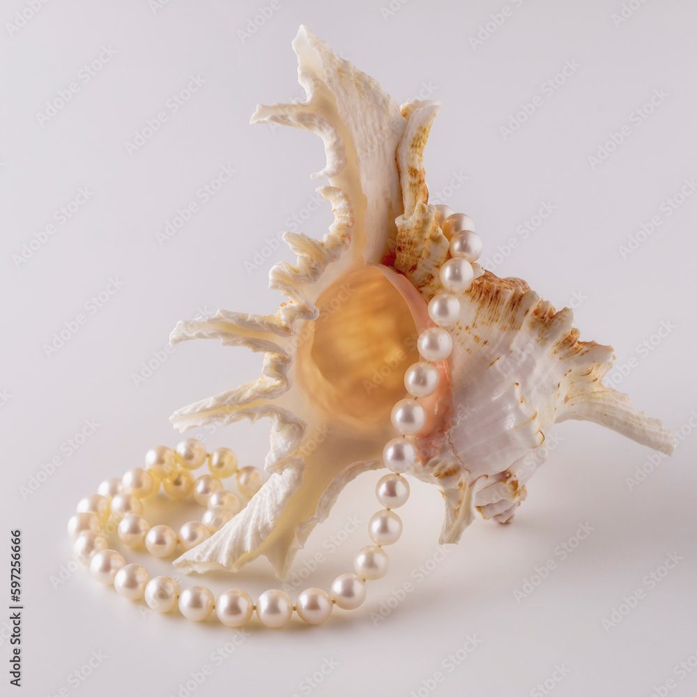 beautiful pearl beads on a seashell beautiful pearl beads on a seashell