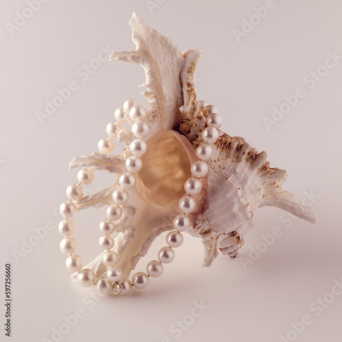 beautiful pearl beads on a seashell