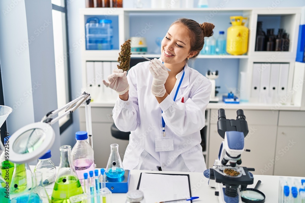 Young beautiful hispanic woman scientist holding marijuana using tweezer at laboratory Young beautiful hispanic woman scientist holding marijuana using tweezer at laboratory