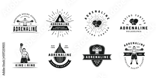Boxing and martial arts logo badges and labels in vintage style. Motivational posters with inspirational quotes. Vector