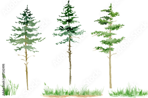 Vector watercolor  tree side view isolated on white background, Forest trees illustration EPS, Green pine, blue spruce, lush ash, beige bush, Set of hand drawn trees
