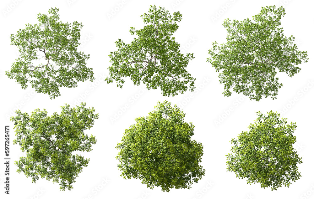 Cutout top view trees set landscaping 3d render png file Stock
