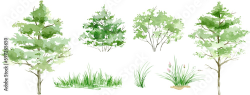 Vector watercolor  tree side view isolated on white background, Forest trees illustration EPS, Green pine, blue spruce, lush ash, beige bush, Set of hand drawn trees © Yevheniia Poli