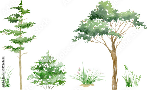 Vector watercolor  tree side view isolated on white background, Forest trees illustration EPS, Green pine, blue spruce, lush ash, beige bush, Set of hand drawn trees