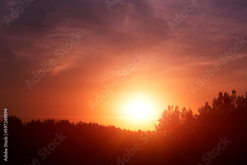 Silhouette pine forest against background bright orange sunset. © freeman83