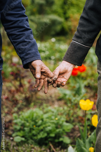 Elderly man and woman gardeners hold hands tightly while standing outdoors in a garden in nature. Photography, concept of eternal love, portrait of aging people. © shchus