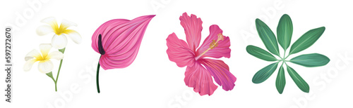 Tropical Foliage with Exotic Plant Green Leaf and Flower Vector Set
