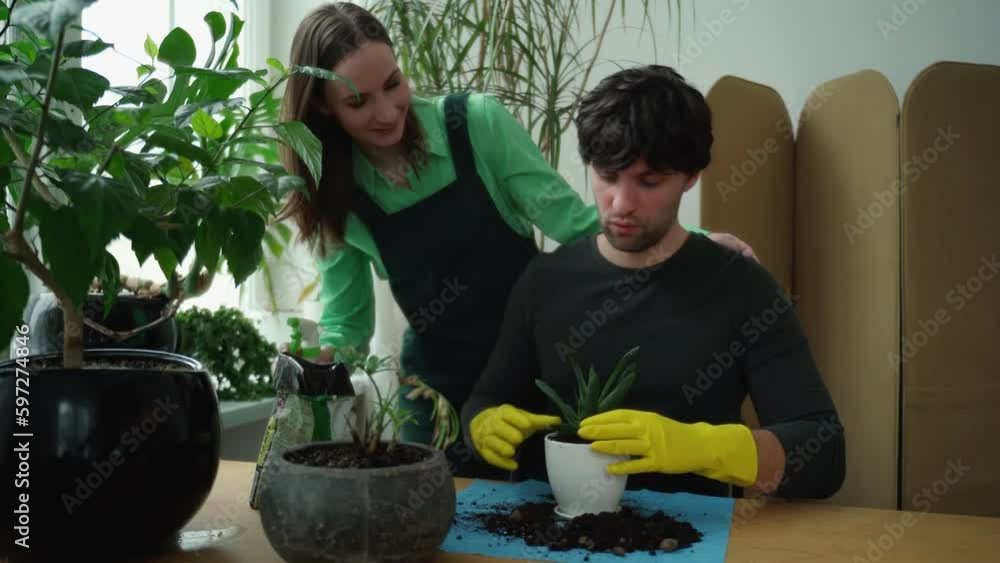 Cheerful young couple of gardeners, smiling at each other, are transplanting houseplants at home Cheerful young couple of gardeners, smiling at each other, are transplanting houseplants at home