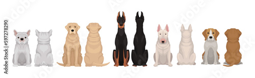 Dogs of Different Breeds Sitting Pose Front and Back Vector Set