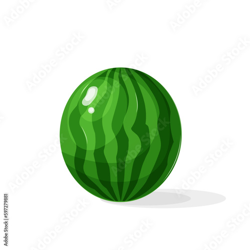 Watermelon. Vector flat design illustration of green watermelon isolated on white background.