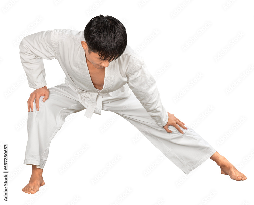 Portrait of an Asian Martial Artist Practicing Portrait of an Asian Martial Artist Practicing