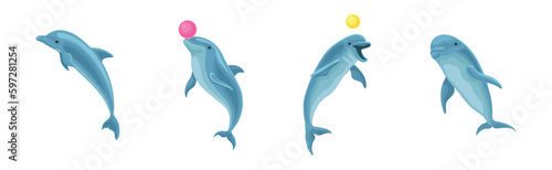 Blue Dolphin as Aquatic Mammal with Streamlined Body and Flippers Playing Ball Vector Set
