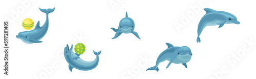 Blue Dolphin as Aquatic Mammal with Streamlined Body and Flippers Playing Ball Vector Set