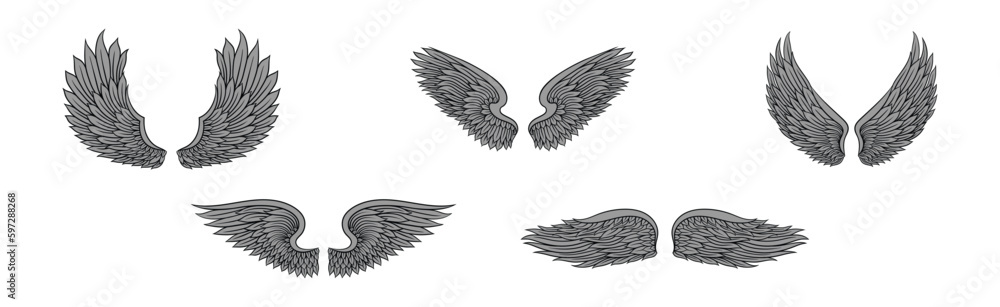 Fototapeta premium Heraldic Wings with Feathers Isolated on White Background Vector Set
