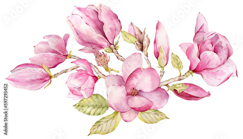Watercolor pink magnolia composition. Beautiful flowers in spring. Pink blossom. Valentine's Day decoration.