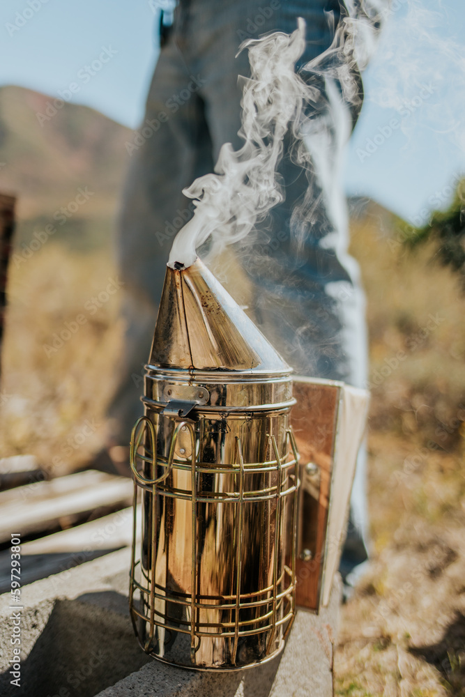 Fototapeta premium Beekeeping 14