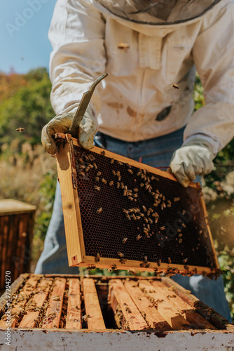 Beekeeping 3