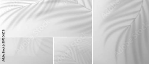 Set of vector transparent overlay shadows with palm leaves. Isolated shade set. Gray empty room studio abstract background for products display