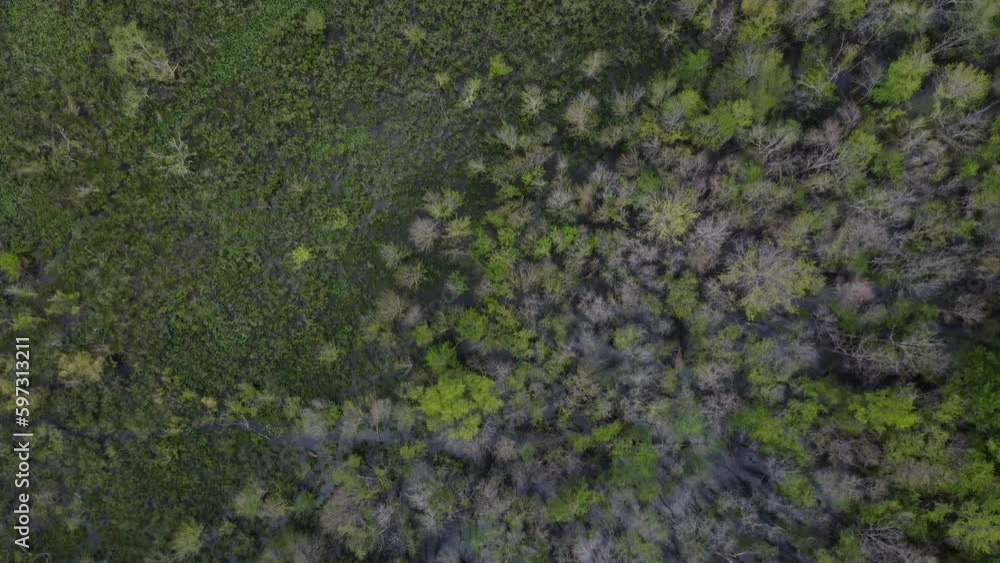 Drone flight in a swamp area in Richmond Va. Drone flight in a swamp area in Richmond Va.