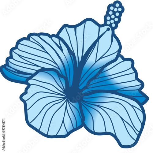 hibiscus illustration ,refreshing light blue,  image of southern country and hawaii and tropical image | apparel, textile