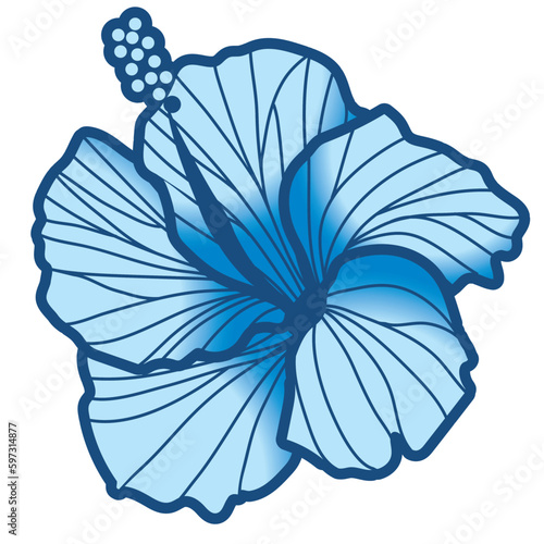 hibiscus illustration ,refreshing light blue,  image of southern country and hawaii and tropical image | apparel, textile