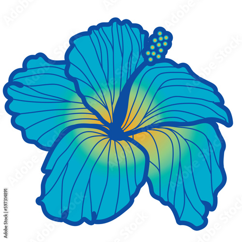 hibiscus illustration ,refreshing light blue,  image of southern country and hawaii and tropical image | apparel, textile