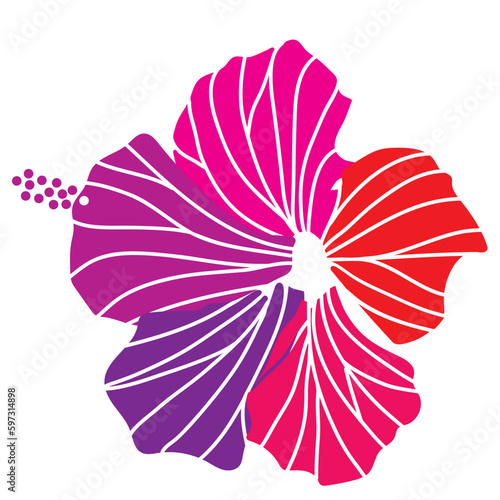 hibiscus illustration ,pink,  image of southern country and hawaii and tropical image | apparel, textile