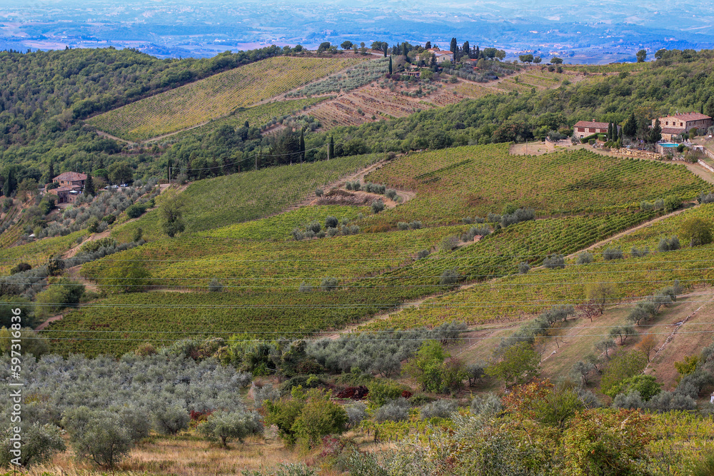 Beautiful mountainous landscape of the Tuscan Val d'Orcia region, Italy.