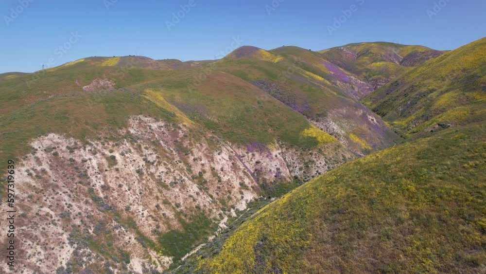 Superbloom Canyon - Carrizo Plain National Monument, California Part 3