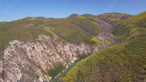 Superbloom Canyon - Carrizo Plain National Monument, California Part 3
