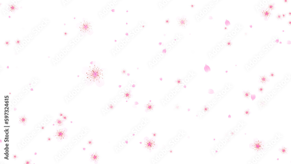 png spring flowers falling, Japanese cherry blossom and petals transparent background, 4k design element