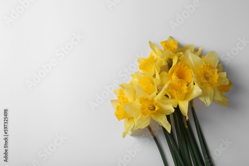 Beautiful yellow daffodils on white background, top view. Space for text