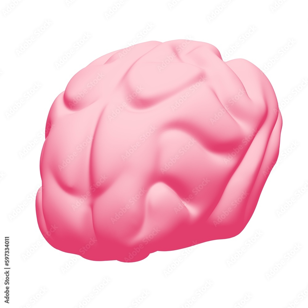 Human brain Anatomical Model. Human brain Anatomical Model.