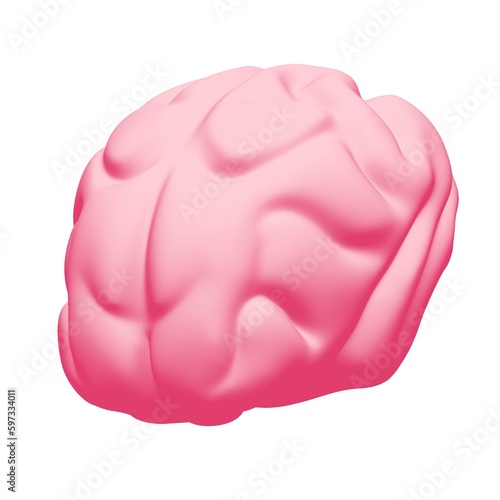 Human brain Anatomical Model.