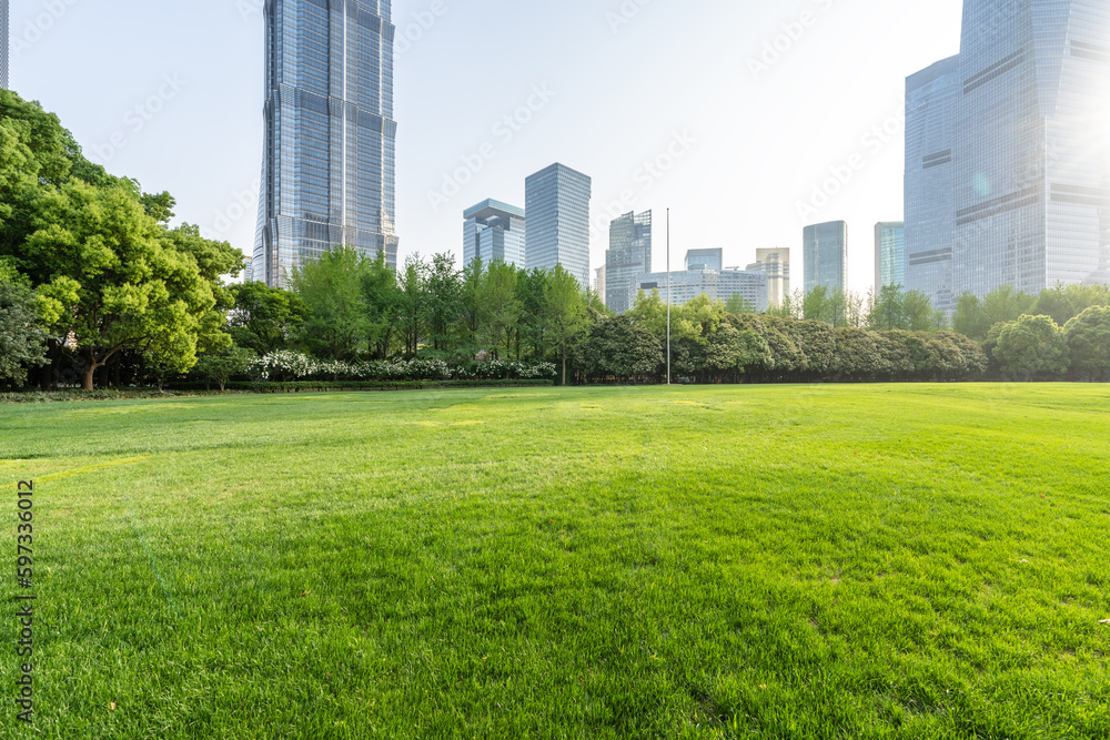 city skyline with green lawn - obrazy, fototapety, plakaty 