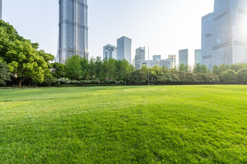 city skyline with green lawn