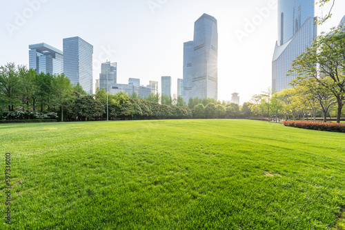 green lawn with city park