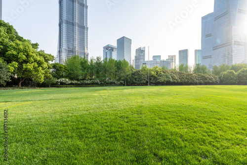 city skyline with green lawn photo