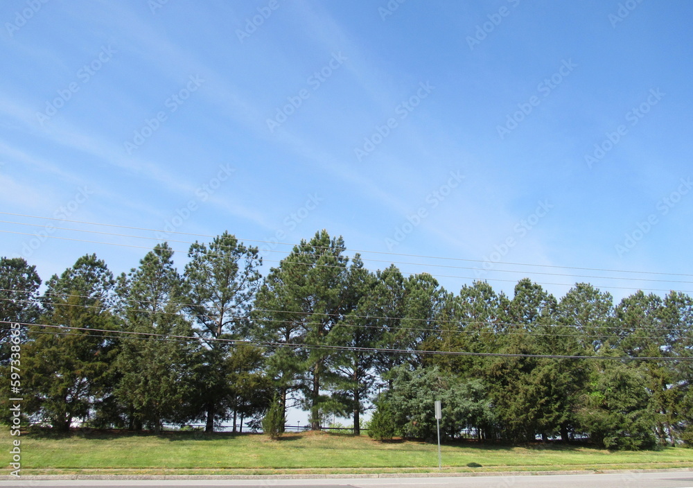 line of trees, a strip of grass and a nearly perfectly clear blue sky with light wispy clouds