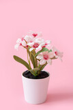 Beautiful flowers in pot on pink background